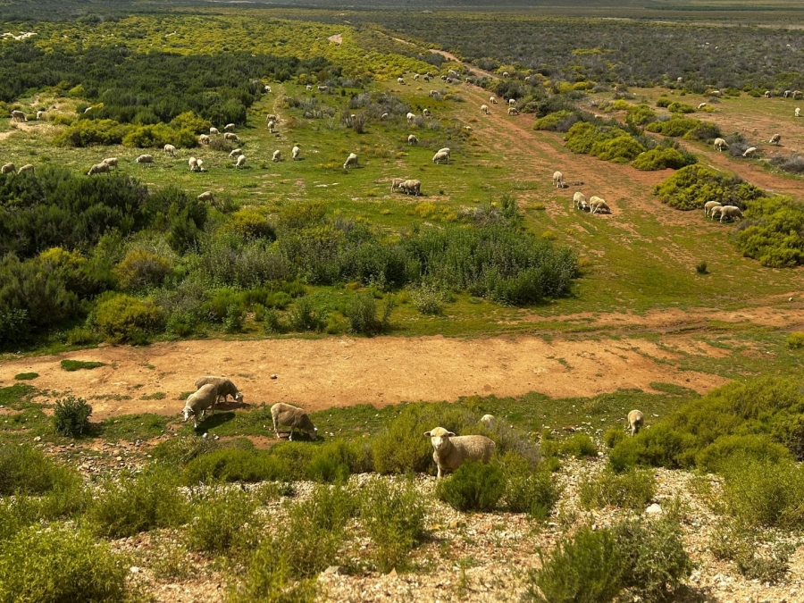 Commercial Property for Sale in Montagu Rural Western Cape